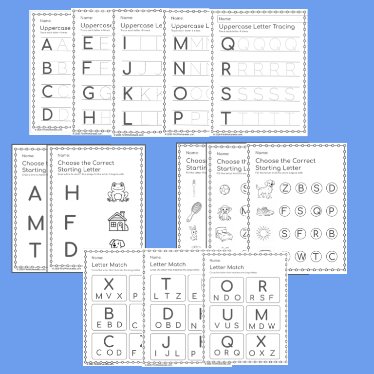 Recognition and Writing Practice Packet preview